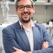 Dr. Patrick Forcelli Photo